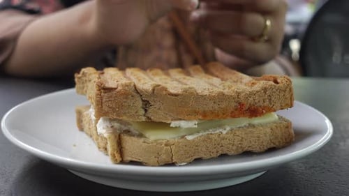 Cheese Sandwich on Plate Close Up Shot
