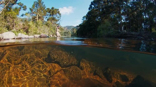 Angler in the River Underwater View