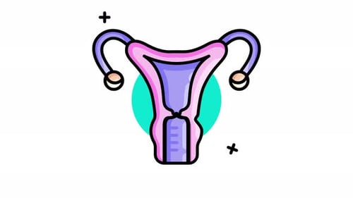 Animated Flat Design Uterus and Fallopian Tubes for Medical Science