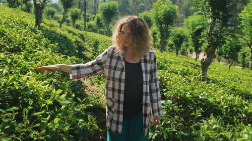 Female Tourist Walks Through a Tea Plantation in Sri Lanka