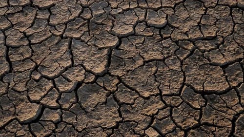 Barren Cracked Earth Displaying Drought Conditions