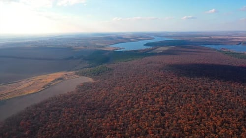 Drohnenansicht von Baumwald und See. Luftaufnahme von Landschaften der Herbstsaison.