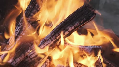 A Bonfire Enthralls with Its Crackling Flames