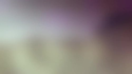 Canvas Collection: A purple and white background with frosted glass effect