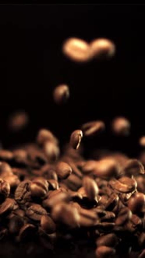 Super Slow Motion Coffee Beans Go Up and Fall Down Filmed on a Highspeed Camera at 1000 Fps