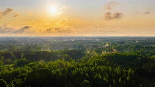 Nature forest sunrise timelapse morning mist moving clouds lush green tree hyperlapse