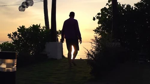 Man walks in a golden garden during sunset in super slow motion