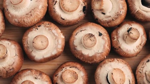 Champignons fraîchement cueillis sur la maison, cuisine, gros plan, texture d'un champignon brun, femme cuisinant délicieusement