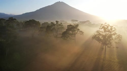 Sunrise with Mountain View