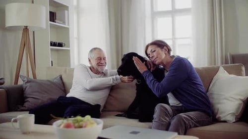 Senior Couple Enjoying Time With Dog Indoors