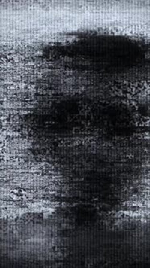 Monochrome Vertical TV Glitch: Dynamic Static Noise with Retro Analog Interference Effect