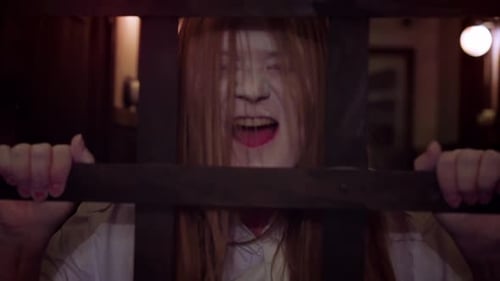 Creepy woman with white face shakes bars screaming loudly