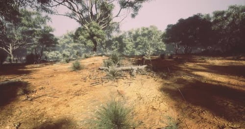 Animated 3D Desert Landscape with Sparse Trees