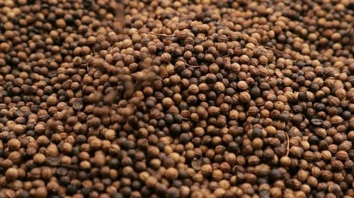 Dried Heated Coriander Seed Spice