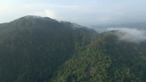 Helicopter view of rainforest on the mountain range with fog. Greenery view of forest and hill. Trop