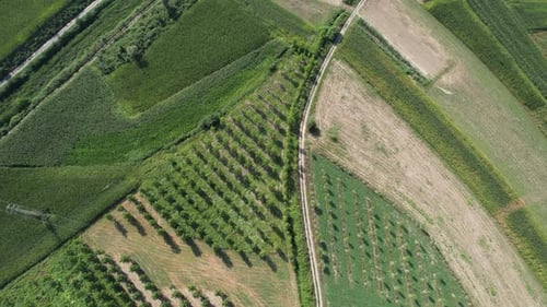 Terras agrícolas aéreas