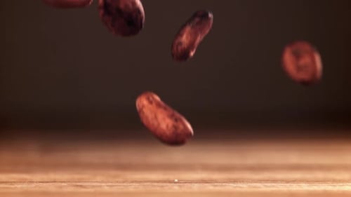 Cocoa Beans Fall on the Table Filmed on a Highspeed Camera at 1000 Fps