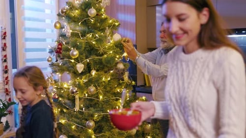 Family Prepares Christmas Dinner by Decorated Tree