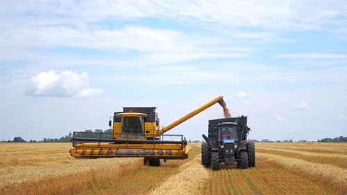 Yellow combine harvester and tractor on field. Agricultural machinery at crop season.