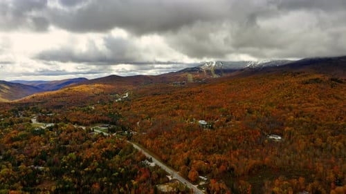 Aerial View of Autumn Foliage in the Mountains