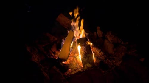 Cam Fire