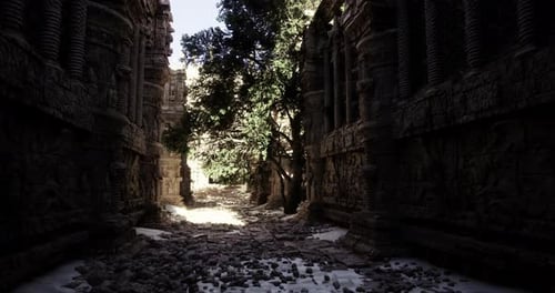 Exploring Ancient Ruins with Overgrown Trees Under Sunlight