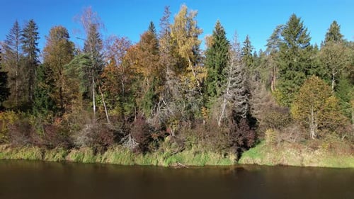 Autumn landscape with colorful trees reflected in a serene river