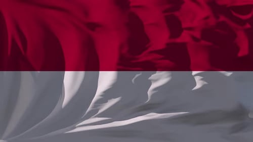Indonesia Flag Loop