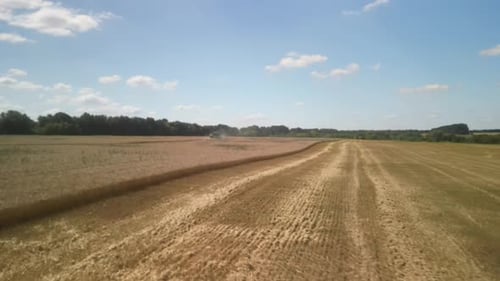Wheat field aerial view in Ukraine