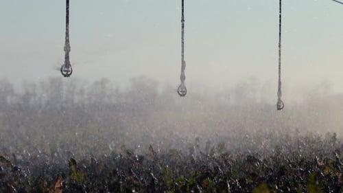 Irrigation System Watering Crops in Rural Field