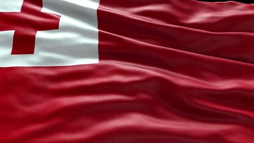 Tonga National Flag Waving with Realistic Fabric Texture