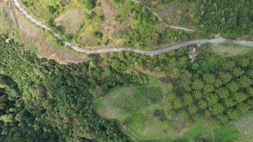 Aerial Forest Road