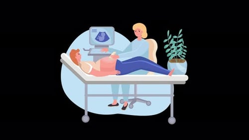 Pregnant Woman Medical Ultrasound Examination Flat Animation