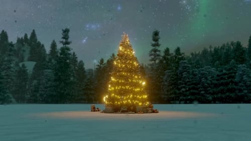 Árbol de Navidad en la nieve en la noche con cajas de regalo