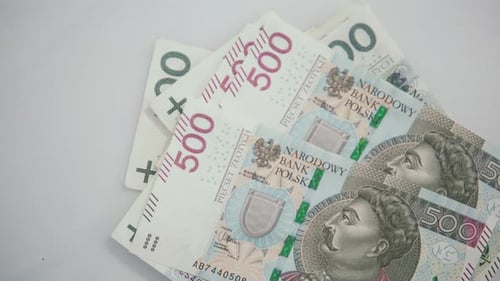 Put 500 polish money on 100 polish money, counting money at home