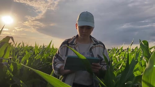 Woman with Tablet Standing in Green Field