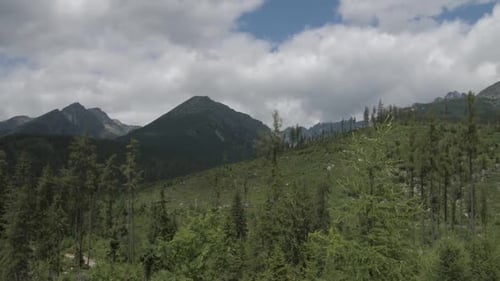 Panorama of the mountains in spring surrounded by forest and glades.