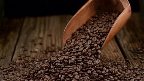 Roasted Coffee Beans Poured From Wooden Scoop