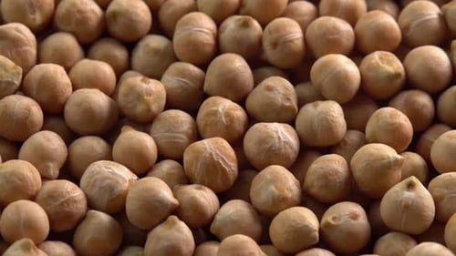Close-Up of Fresh Chickpeas