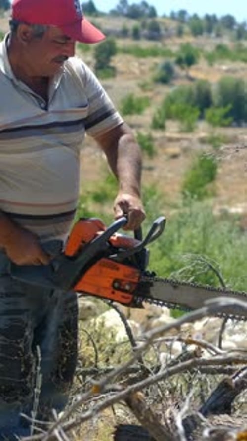 Man Cutting Tree Branches with Chainsaw Outdoors