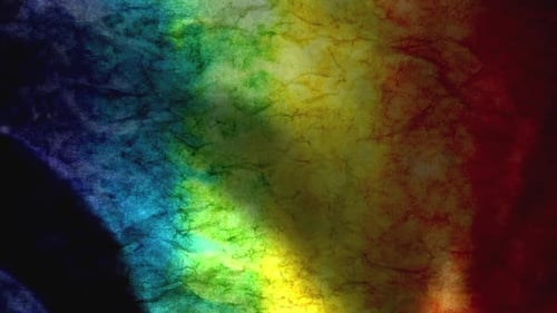 Alexander Grey Paper Texture Animation Background