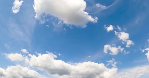 Light blue summer sky with fluffy soft clouds. White cloudscape formation from low angle view.