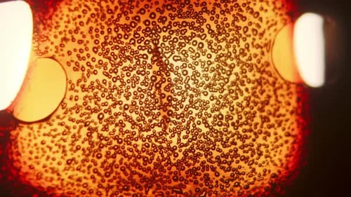 Abstract Bubbles Filling Frame with Film Effect