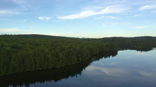 Aerial view of a mirror-like pond in the middle of the forest