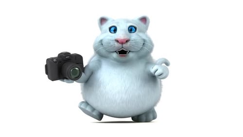 Animated 3D Cartoon Cat Photographer Character Walking