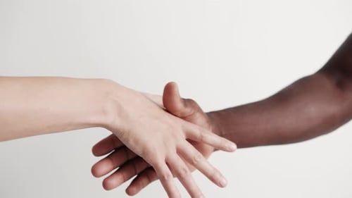 Multi Ethnic Young Female and Male Joining Hold of Hand Close-Up. Two