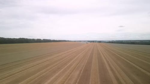 Wheat field aerial view in Ukraine