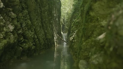 Stunning Natural Background with Green Narrow Gorge Between Mountains