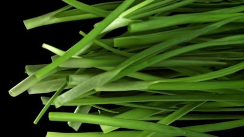 Green Onions Fly Up and Fall Down on a Black Background Filmed on a Highspeed Camera at 1000 Fps