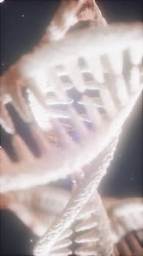 Exploring the Structure of DNA and Its Role in Genetic Coding